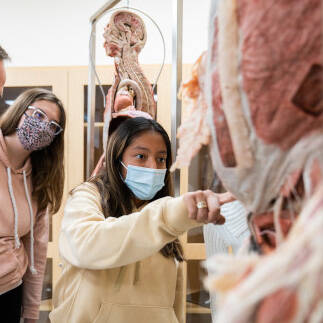 Students in DCIH 312